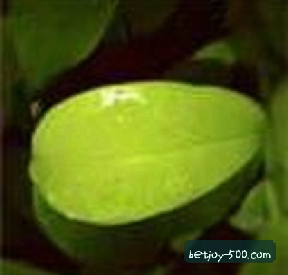 陈静